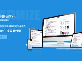关键词优化篇——为什么网站要优先做整站优化而不是只做关键词排名?