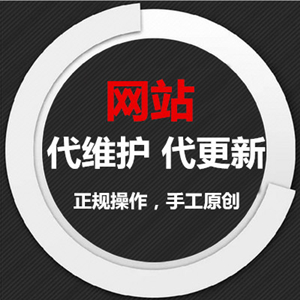 网站代运营维护SEO优化 网站托管权重维护诊断伪原创文章更新
